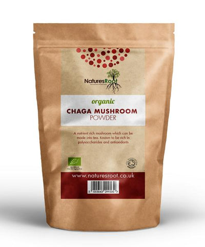 Chaga Mushroom Powder: Nature's Hidden Treasure for Immune Support